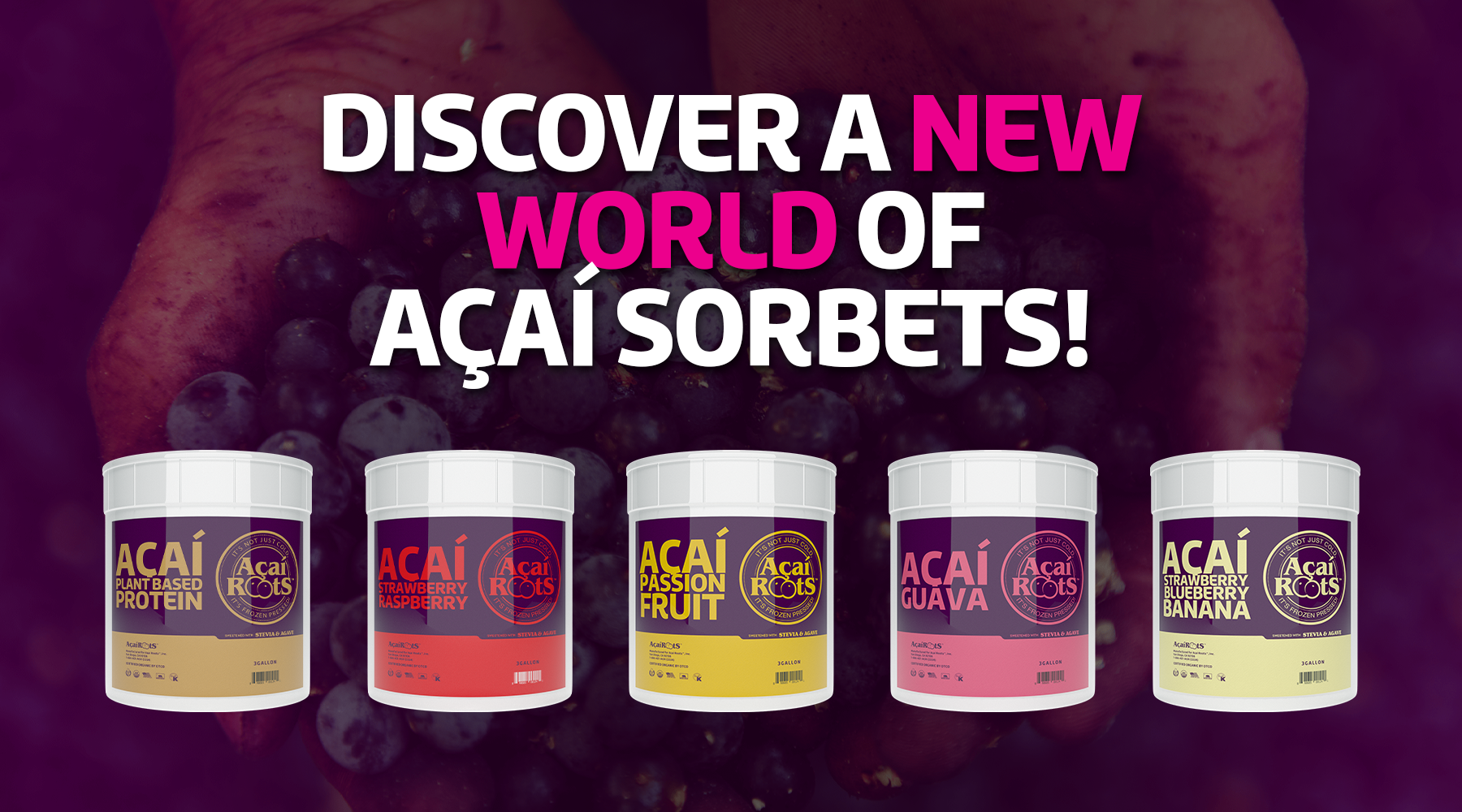 Açaí Roots