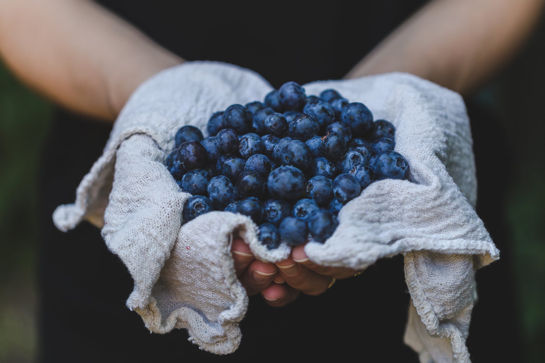 AÇAÍ PUREE - Acai Roots