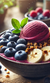 Wholesale Acai Sorbets and Purees Nationwide - Acai Roots
