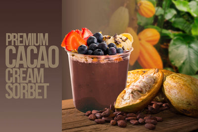 3G PREMIUM CACAO CREAM SORBET